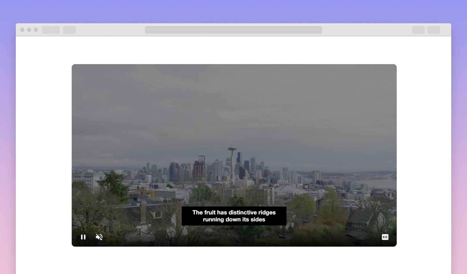 Amazon IVS Closed Captions Demo