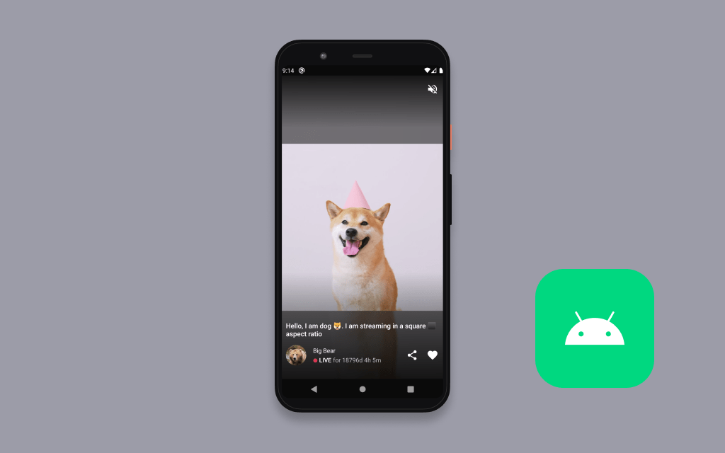 Amazon IVS Android Feed demo